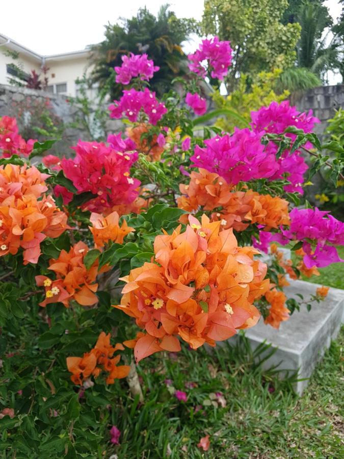 Rose Self Catering