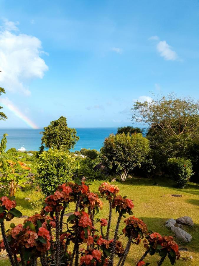 Rose Self Catering شقة
