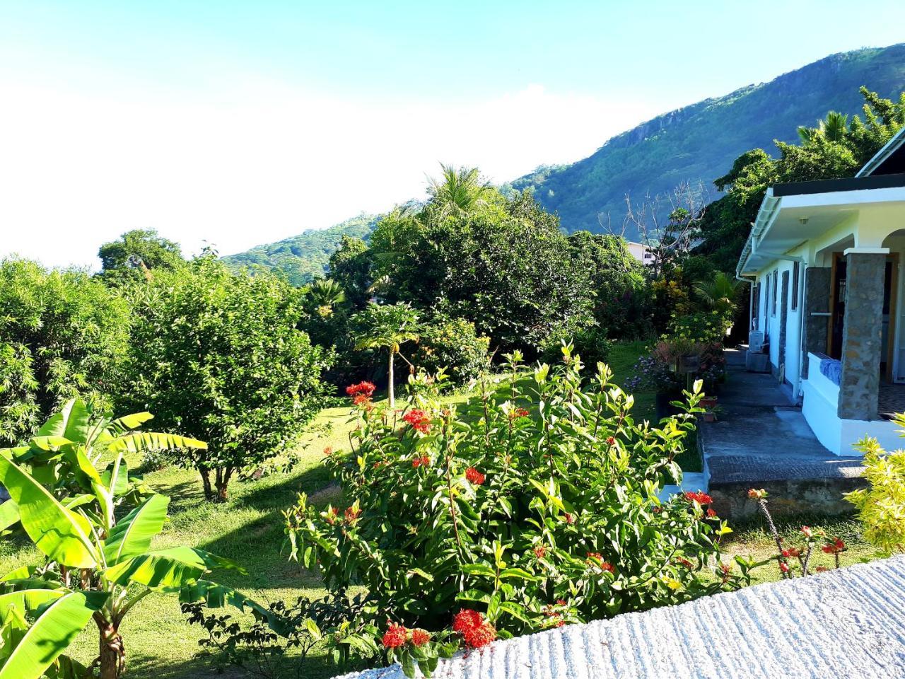 شقة Rose Self Catering *