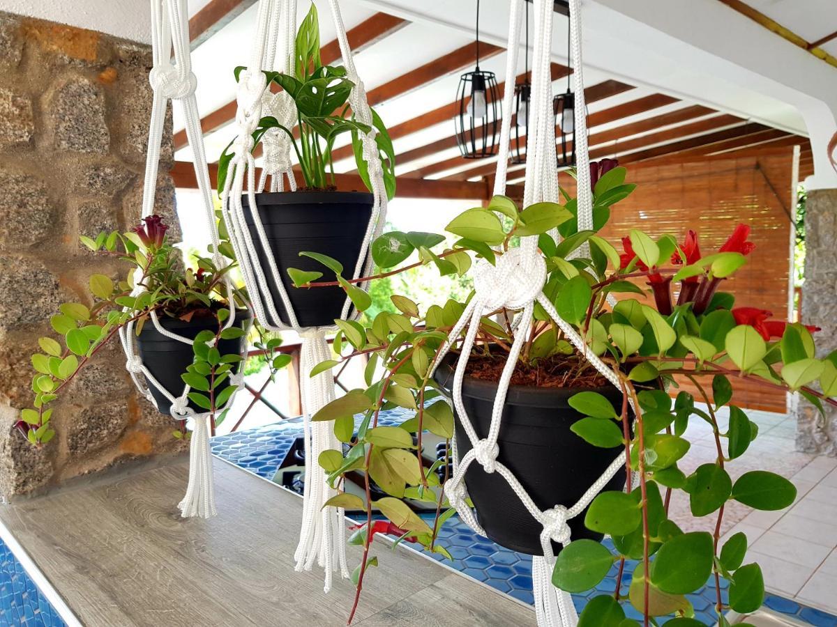 Rose Self Catering Beau Vallon